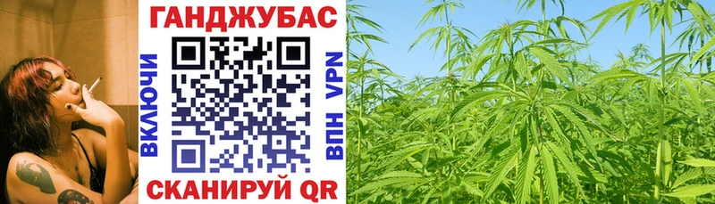 Бошки Шишки ГИДРОПОН Салаир